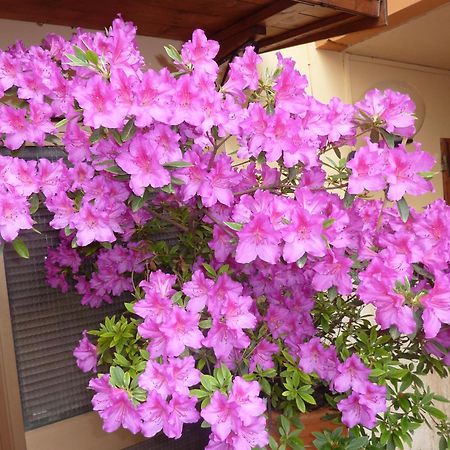 Primettahouse Hotel Сан Джиминяно Екстериор снимка